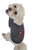 Ruff Ruff and Meow Dog Hoodie Mini Diva Black ExtraLarge