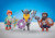 PLAYMOBIL® 6588 Three Dwarf Fighters