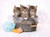 Clementoni Kittens and Soap Jigsaw Puzzle Collection 500 Pieces
