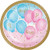 Gender Reveal Balloons Dessert Plates, 24 ct