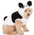 Panda Hoodie for Pet Small