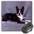 3dRose LLC 8 x 8 x 025 Inches Mouse Pad Boston Terrier mp2681