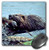 3dRose LLC 8 x 8 x 025 Inches Mouse Pad Beaver mp10211