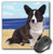 3dRose LLC 8 x 8 x 025 Inches Cardigan Welsh Corgi Mouse Pad mp41611