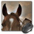 3dRose LLC 8 x 8 x 025 Inches Horse and Barn in Sepia Mouse Pad mp123071