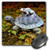 3dRose LLC 8 x 8 x 025 Inches Mouse Pad A garden turtle statue with a frog riding its back mp1652991