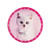 BirthdayExpress Rachael Hale Glamour Cats Party Supplies - Dessert Plates (8)