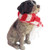 Sandicast German Shorthaired Pointer with Red and White Scarf Christmas Ornament