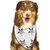 ZJBLHEQ Stars Eastern Stars Dog Bandanas Triangle Bibs Dog Kerchief Set Scarfs Accessories for Small to Large Dogs Cats Pets
