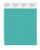 PANTONE SMART 15-5519X Color Swatch Card, Turquoise