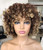 Annivia Brown Blonde Mixed Afro Wig Short Curly Wigs for Women Short Afro Curly Wig Synthetic Hair