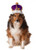 Rubies Mardi Gras Kings Crown for Pets MediumLarge Purple