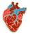 Pinsanity Anatomical Heart Enamel Lapel Pin
