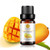 Mango Essential Oil 100 Pure Organic Natural Aromatherapy Mango Oil for Diffuser Massage Yoga Meditation Bath Skin Care 10ml
