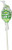 Blow Pops Sour Apple Pack of 48