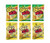 Corn Nuts Spicy Pack 4oz Size  3 of Each Flavor Chile Picante and Jalapeno Cheddar Pack of 6