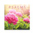 DaySpring Psalms  KJV  2021 Inspirational Christian Wall Calendar