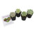 Altman Plants Echeveria Succulents Live Plants 4 Pack Assorted 25 Potted Succulents Plants Live House Plants in Cacti and Succulent Soil Wedding Party Favors Cactus Plants Live Indoor Plants