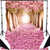 5x7ft Pink Romantic Cherry Blossoms Street LESS CREASE Vinyl Backdrop Photography Prop Photo Background Sakura Flower Road Studio Prop Backdrops (Updated Material)