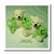 3dRose Teddy Bears with ShamrocksIron on Heat Transfer 8 by 8 for White Material ht429121