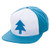 Gravity Falls  Dippers Hat  Officially Licensed
