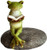 Top Collection Miniature Fairy Garden and Terrarium Frog Reading on Stone Statue
