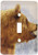 3dRose Lsp245361 Brown Bear Up Close Single Toggle Switch