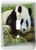 3dRose lsp1109761Giant Panda Bear Will Charm You Heart Single Toggle Switch Multicolor