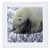 3dRose qs107231 Polar BearsQuilt Square 10 by 10Inch