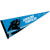 WinCraft Carolina Panthers Pennant Banner Flag