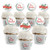 Big Dot of Happiness Feliz Navidad  Cupcake Decoration  Holiday and Spanish Christmas Party Cupcake Wrappers and Treat Picks Kit  Set of 24