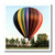 3dRose ht11543 Hot Air Balloon Iron on Heat Transfer for White Material 10 by 10Inch