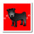 3dRose ht476003 Cute Chinese Shar Pei Black Coat Red Paw Prints Iron on Heat Transfer for White Material 10 by 10Inch