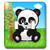3dRose lsp57322Panda Bear Double Toggle Switch Multicolor