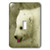 3dRose LLC lsp83661 Polar Bear C Single Toggle Switch