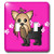 3dRose lsp108172 Cute Yorkshire Terrier Yorkie Pink with Paw Prints Double Toggle Switch