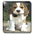3dRose lsp492902 Cute Beagle Puppy Posing Toggle Switch