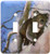 3dRose lsp702402 Australia Kangaroo Isl Koala bear eucalyptus tree Double Toggle Switch