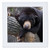 3dRose qs115861 Oh Man What a Day Black Bear Quilt Square 10 by 10Inch