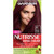 Garnier Nutrisse Ultra Color Nourishing Permanent Hair Color Cream R0 Darkest Intense Auburn 1 Kit Red Hair Dye Packaging May Vary