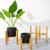 1PC Wood Plant StandPlant StandWood Planter Pot Trays Flower Pot Rack Strong Free Standing Bonsai Holder Plant Stands Indoor Display Plant Stand ShelfL 1PC Wood Plant StandPlant StandWood Planter Pot Trays Flower Pot Rack Strong Free Standing Bonsai Holder Plant Stands Indoor Display Plant Stand ShelfL