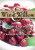 Wind  Willow White Chocolate Cherry Cheeseball Mix 4 Pack