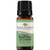 Plant Therapy Rosemary Organic Essential Oil  100 Pure USDA Certified Organic Undiluted Natural Aromatherapy Therapeutic Grade  10 Milliliter ? Ounce Plant Therapy Rosemary Organic Essential Oil  100 Pure USDA Certified Organic Undiluted Natural Aromatherapy Therapeutic Grade  10 Milliliter ? Ounce