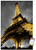 Trends International Poster Mount Eiffel TowerLights 14725 x 22375 Premium Poster  Mount Bundle