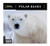 National Geographic Polar Bears 2021 Wall Calendar
