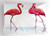 Ambesonne Animal Pillow Sham by, Two Hand Drawn Flamingos in Pink Colors on Seaside Tropical Wildlife Artwork, Decorative Standard Size Printed Pillowcase, 26 X 20 Inches, Orange Lavander