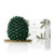 Thymes Pinecone Candle  Petite  Frasier Fir