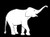 LLI Grown Elephant  Decal Vinyl Sticker  Cars Trucks Vans Walls Laptop  White 55 x 38 in  LLI861