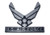 Elektroplate U.S. Air Force Wings Chrome Auto Emblem
