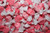 Sweets Salt Water Taffy All Color~Smarty Stop Cinnamon 3 LB